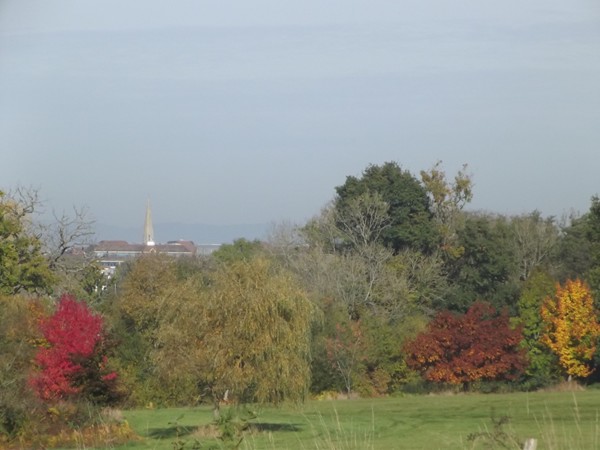 Autumn Colour